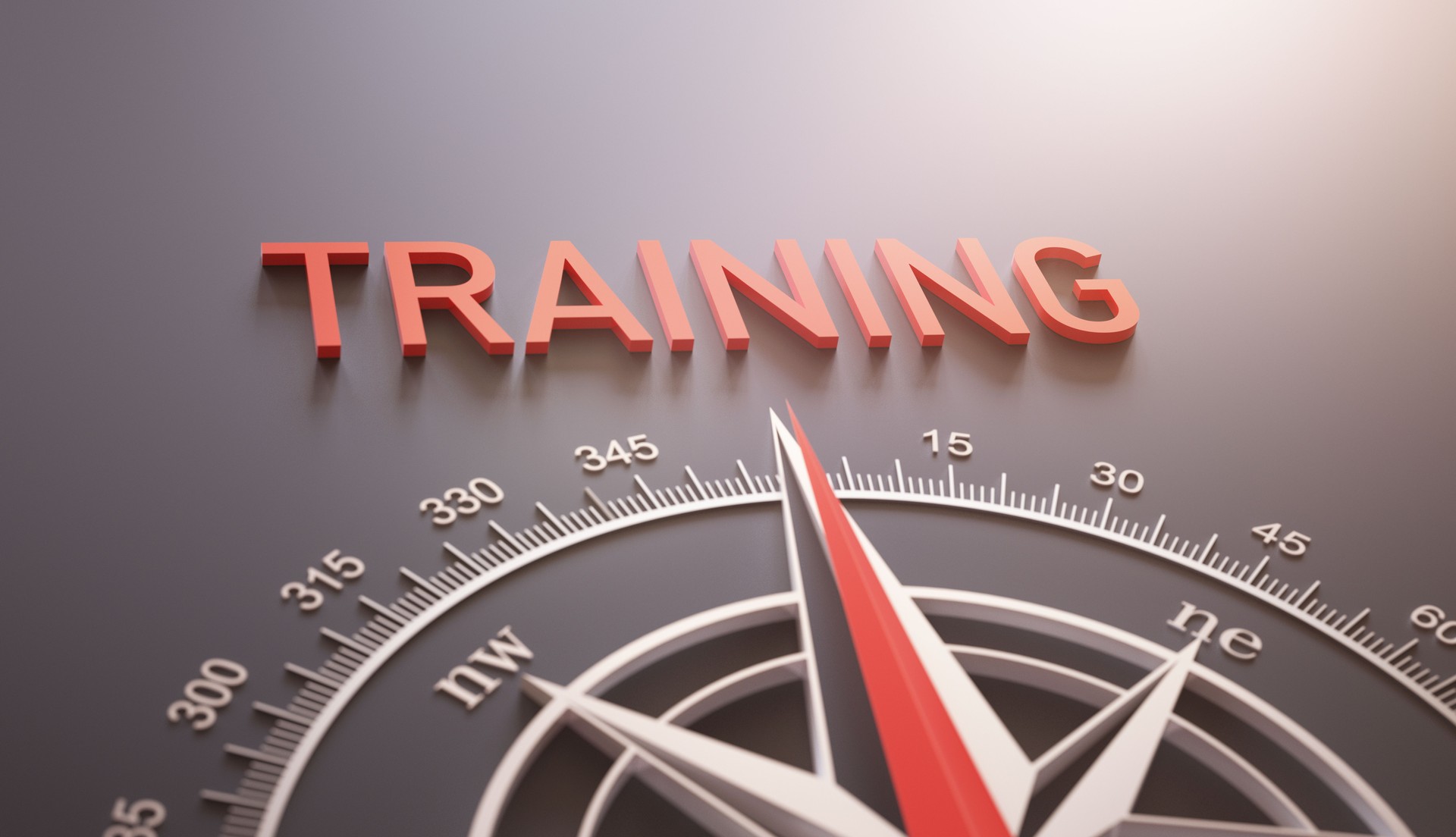 Training compass concept